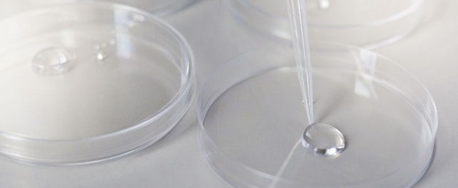 Petrifilm to innowacyjna metoda wykrywania patogenów w żywności.